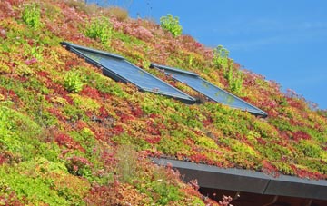 Monymusk living roof systems