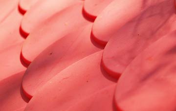 Monymusk plastic roof costs