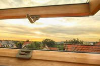 rated Monymusk roof window companies